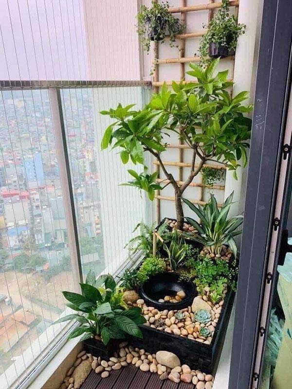 Sử dụng logia, ban công để lấy không khí tự nhiên