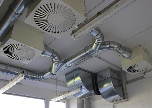 Không gian ẩm mốc dễ gây vi khuẩn